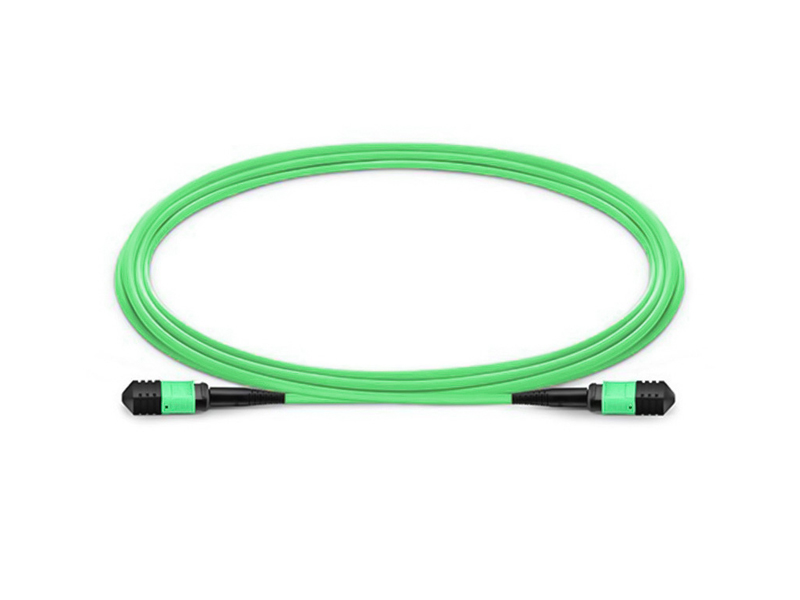 Parche de fibra &oacute;ptica troncal MPO MTP OM5 de 8-12 n&uacute;cleos y 3,0 mm cord