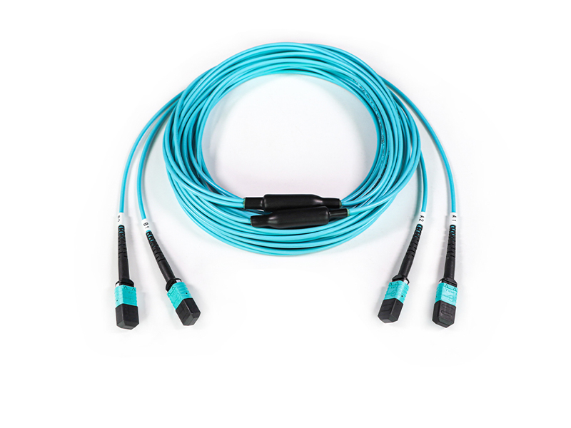 Parche de fibra &oacute;ptica troncal de 2-12 MPO MTP OM3 de 24 n&uacute;cleos y 3,0 mm cord