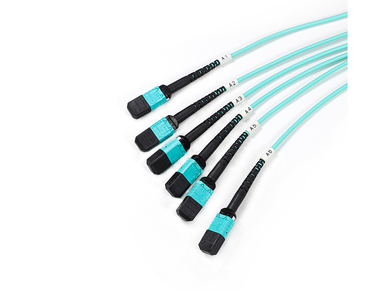 Latiguillo de fibra &oacute;ptica troncal de 6-12 MPO MTP OM3 de 72 n&uacute;cleos