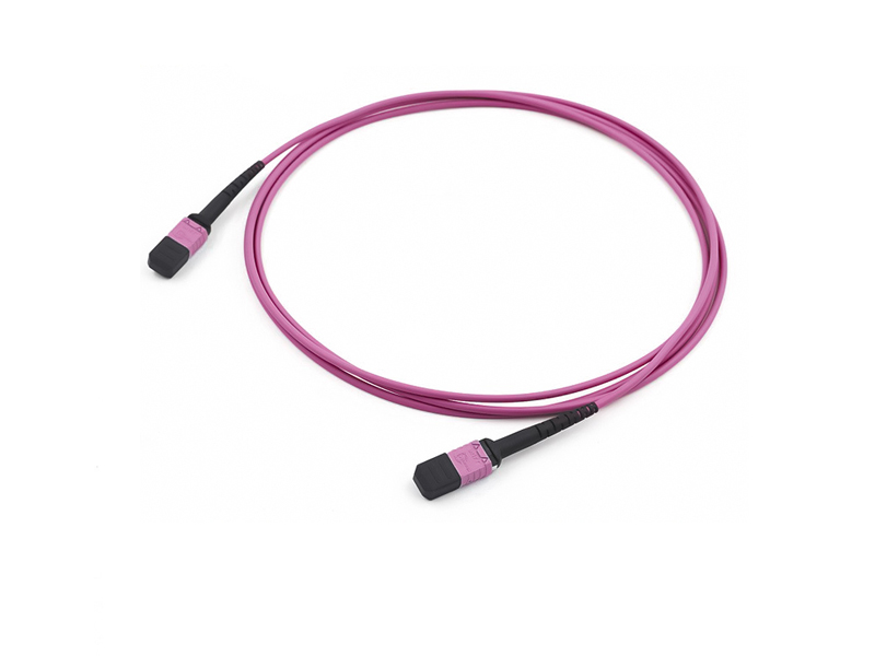 Parche de fibra &oacute;ptica troncal MPO MTP OM4 de 8-12 n&uacute;cleos y 3,0 mm cord