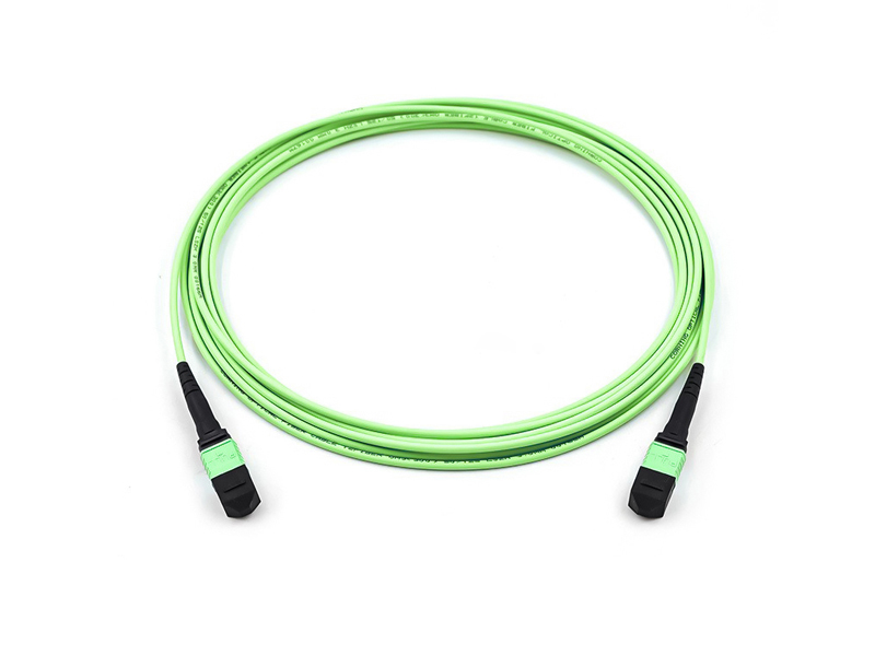 Parche de fibra &oacute;ptica troncal MPO MTP OM5 de 8-12 n&uacute;cleos y 3,0 mm cord