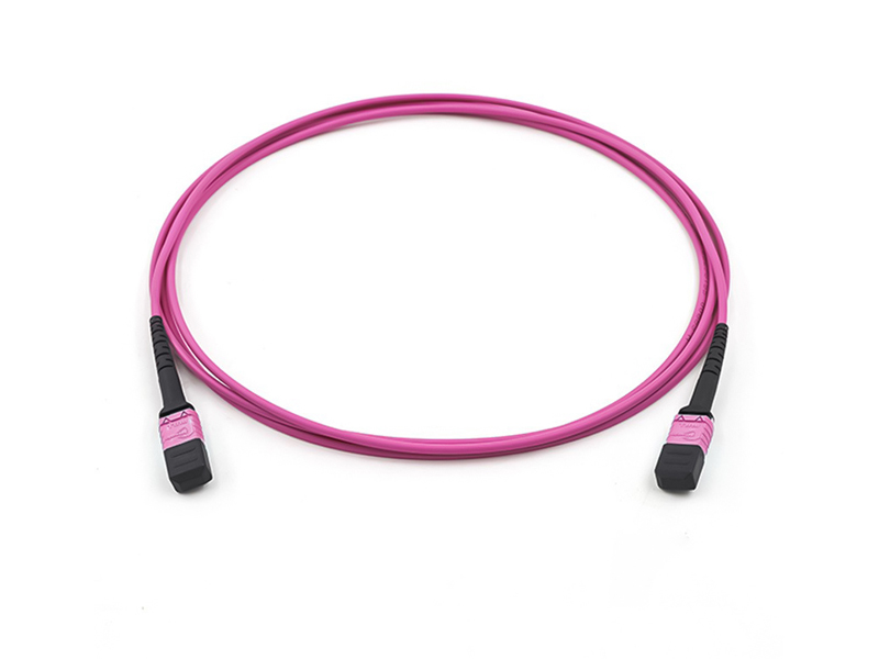 Parche de fibra &oacute;ptica troncal MPO MTP OM4 de 8-12 n&uacute;cleos y 3,0 mm cord