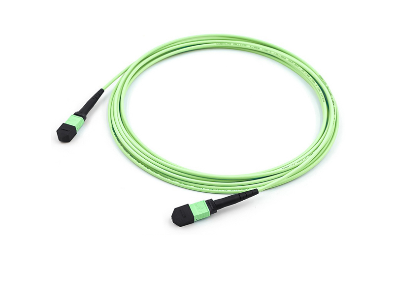 Parche de fibra &oacute;ptica troncal MPO MTP OM5 de 8-12 n&uacute;cleos y 3,0 mm cord