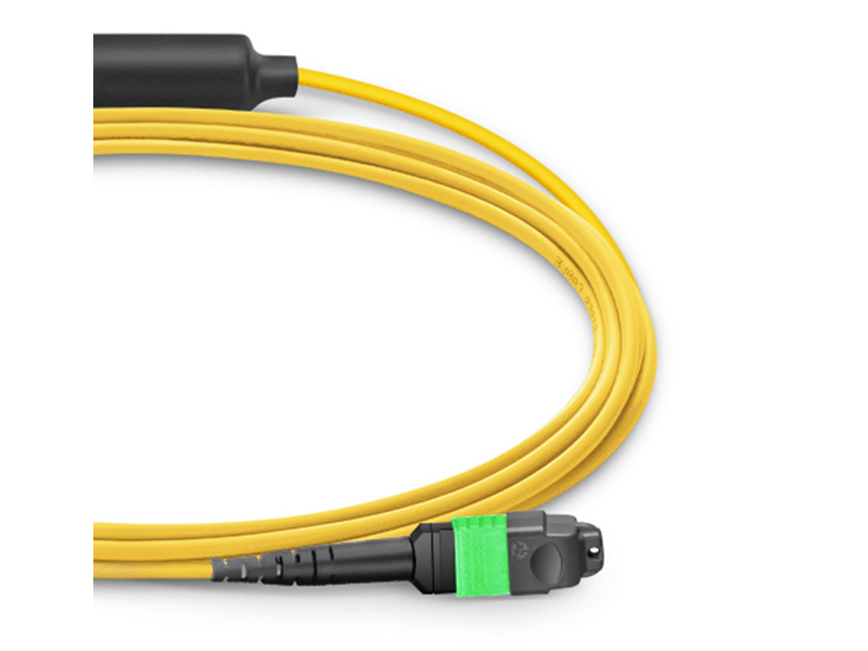 1-24 MPO MTP-2-12 MPO Cable de conexi&oacute;n de fibra &oacute;ptica troncal MTP SM de 24 n&uacute;cleos