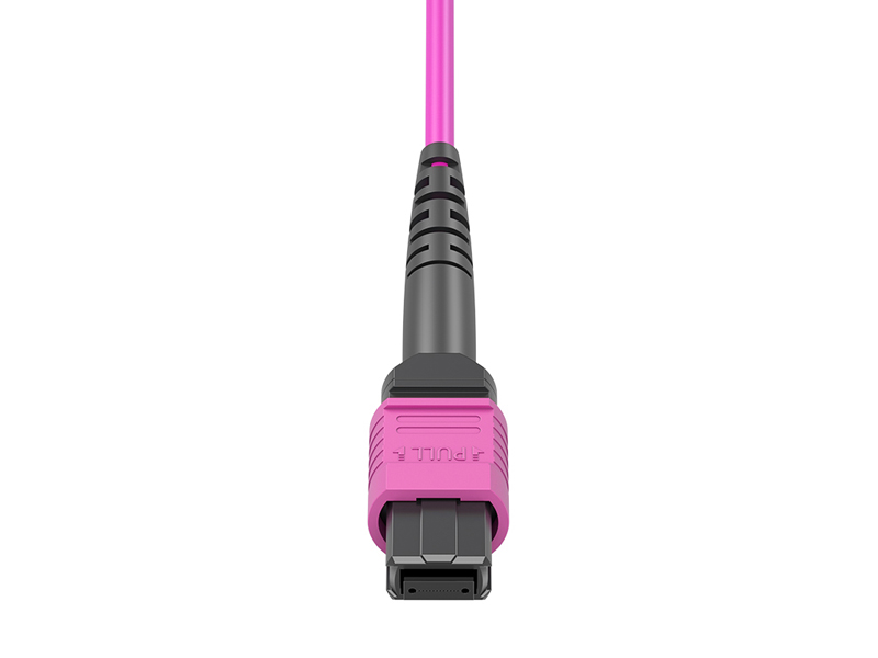 MPO/APC Hembra-6x N&uacute;cleos DLC OM412 Arneses MPO/MTP Cables de conexi&oacute;n en abanico
