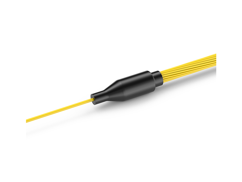 MPO/APC hembra-12x DLC monomodo (SM) 24 n&uacute;cleos Arneses MPO/MTP Cables de conexi&oacute;n en abanico