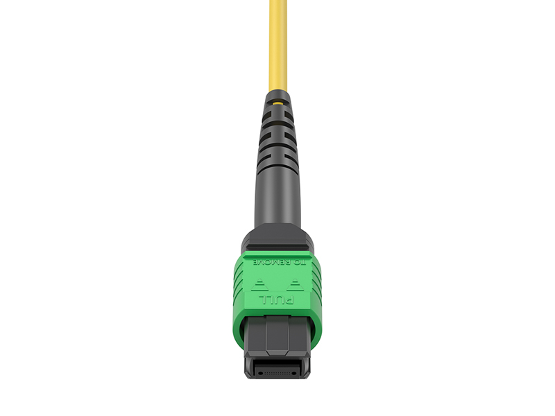 MPO/APC hembra-12x DLC monomodo (SM) 24 n&uacute;cleos Arneses MPO/MTP Cables de conexi&oacute;n en abanico