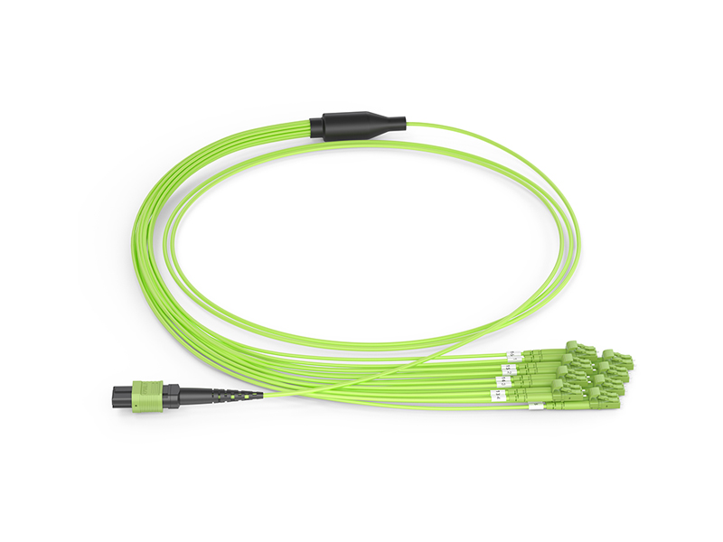 MPO/APC Cables de conexi&oacute;n en abanico para arneses MPO/MTP de 16 n&uacute;cleos DLC OM5 hembra-8x