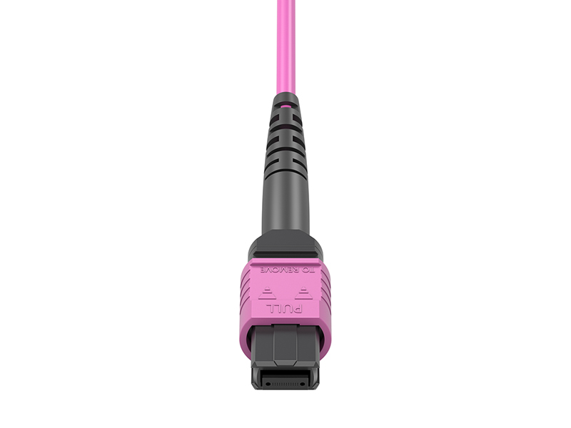 MPO/APC hembra-12x DLC OM4 24 n&uacute;cleos Arneses MPO/MTP Cables de conexi&oacute;n en abanico