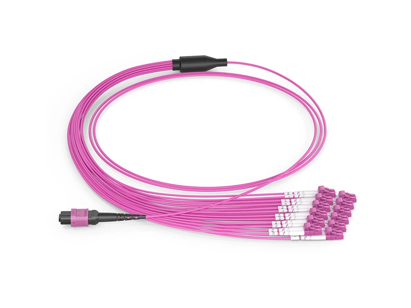 MPO/APC hembra-12x DLC OM4 24 n&uacute;cleos Arneses MPO/MTP Cables de conexi&oacute;n en abanico